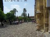 Mezquita Catedral. Patio de los Naranjos. 