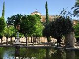 Mezquita Catedral. Fuente de Santa Mara. 