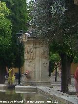 Mezquita Catedral. Fuente de Santa Mara. Cao del Olivo