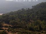 Parque de fauna silvestre Collado del Almendral. Desde el Mirador Flix Rodrguez de la Fuente