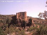 Castillo de los Duques de Alburquerque. 