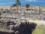 Baelo Claudia. Foro. 
