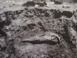 Baelo Claudia. Necrpolis. Enterramiento infantil en nfora. 1919