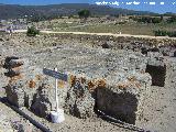 Baelo Claudia. Necrpolis. 