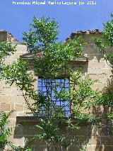 Ermita-Hospedera Madre de Dios del Campo. Ventana de la fachada de la Ermita