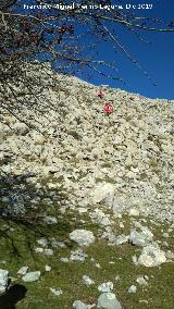 Cerro Los Morales. Ladera sur