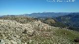 Cerro Los Morales. Vistas hacia Sierra M�gina