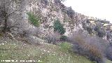 Lomas de Carboneros. Paredes rocosas desde la Ca�ada de los Habares
