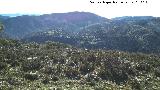 Lomas de Carboneros. Vistas hacia la Sierra del Trigo