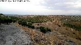 Oppidum Cerro Bollero. 