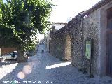 Arco del Pozo de la Nieve. 