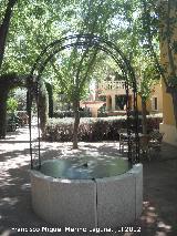 Bameario de Benito. Pozo