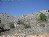 Cerro de los Morteros. Vertiente sur