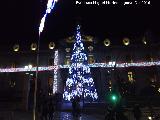 Palacio de la Diputacin. Con luces navideas