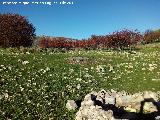 Dolmen del Collado de los Bastianes. Dolmen con su crculo