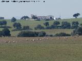 Cortijo de Vaquetas. 