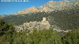 Castillo de Oti�ar. Desde Matagallar