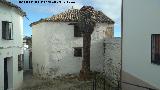 Casa hebrea de la Calle Gradeta de Santo Toms n 2. Con la palmera podada