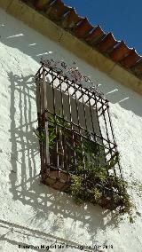 Casa de la Calle Gins Gmez n 4. Reja de rosetas