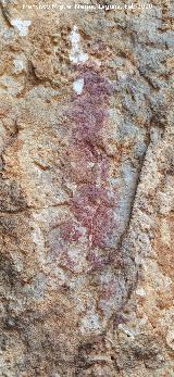 Pinturas rupestres Abrigo Este de las Pe�as de Castro III. Barra