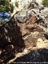 Pinturas rupestres de la Cueva de los Arcos IV. Abrigo