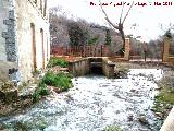 Arroyo de los Baos. Su paso por debajo de la carretera