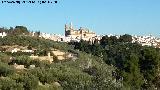 Desde la Carretera al Puente de la Sierra Catedral de Jaén. Desde la Carretera al Puente de la Sierra
