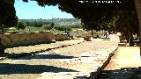 Itlica. Casa de Neptuno. Calzada entre la Casa de los Pjaros y la Casa de Neptuno