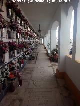 Cementerio de San Gins. Soportales