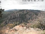 Cerro de los rganos. 