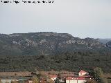 Cerro de los rganos. 