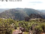 Cerro de los rganos. Vistas