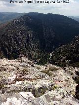 Cerro de los rganos. Vistas