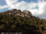 Cerro de los rganos. 