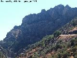 Cerro de los rganos. 