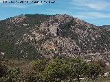 Cerro de los rganos. 