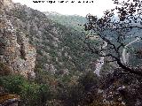 Cerro de los rganos. Vistas