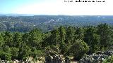 Cerro Las Correderas. Vistas