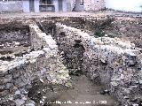 Excavacin arqueolgica de la Escuela de Enfermera . 