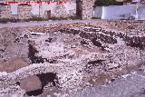 Excavacin arqueolgica de la Escuela de Enfermera . 