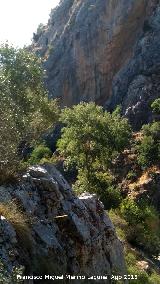 Los Caones. Desde la Cueva de Ro Fro