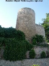 Muralla de Jan. Torren del Cao del Agua. 