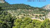 Matagallar. Desde la Carretera a la Caaza de las Hazadillas