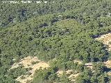 Cerro Pinillo. Desde el Cuchillejo