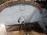 Fuente del Pilarejo. Cao