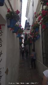 Calleja de las Flores. 