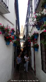 Calleja de las Flores. 