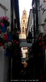 Calleja de las Flores. 