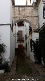 Calleja de las Flores. Arco de ladrillo