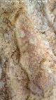 Pinturas rupestres del Abrigo de los Ca�ones IV